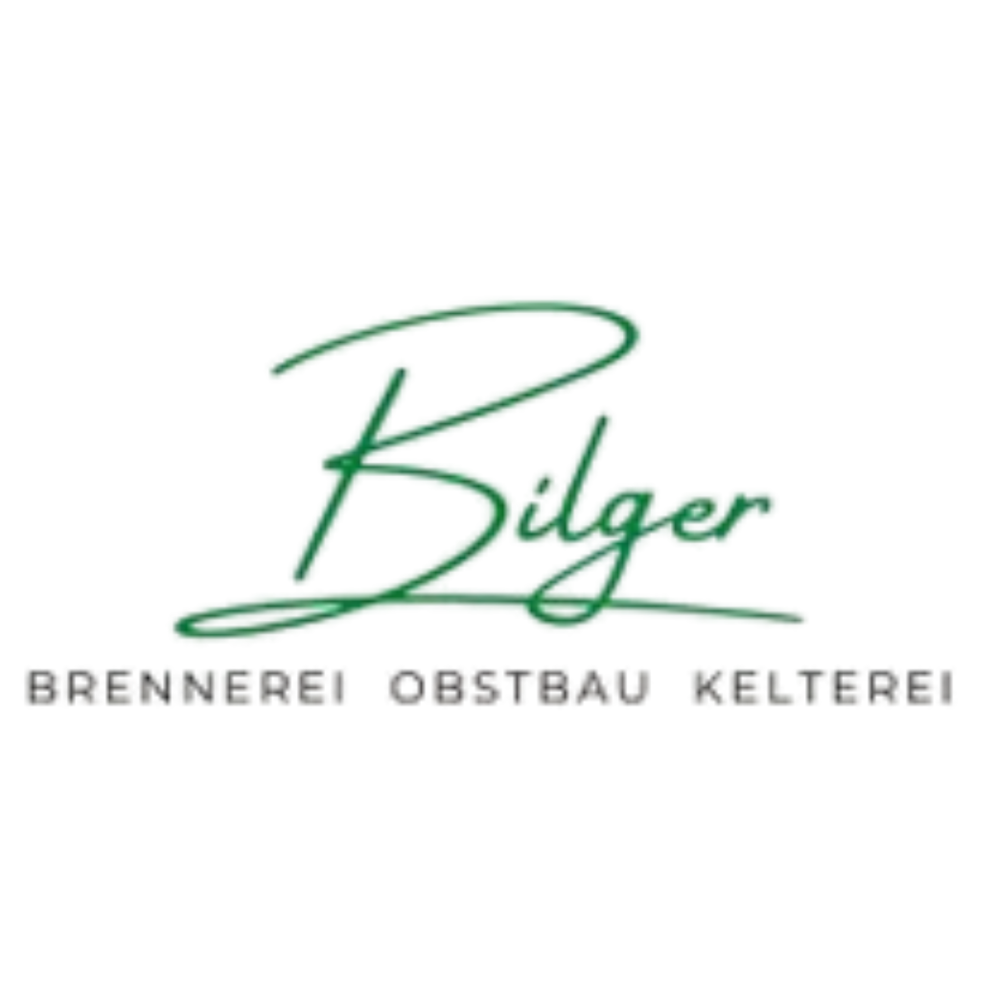 Bilger Partner Logo
