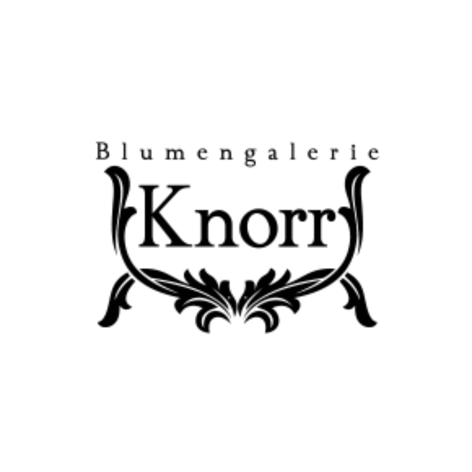 Blumengalerie Knorr Partner Logo
